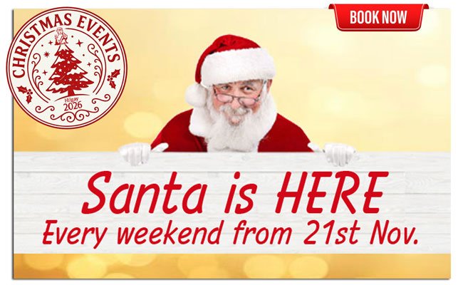 Santa