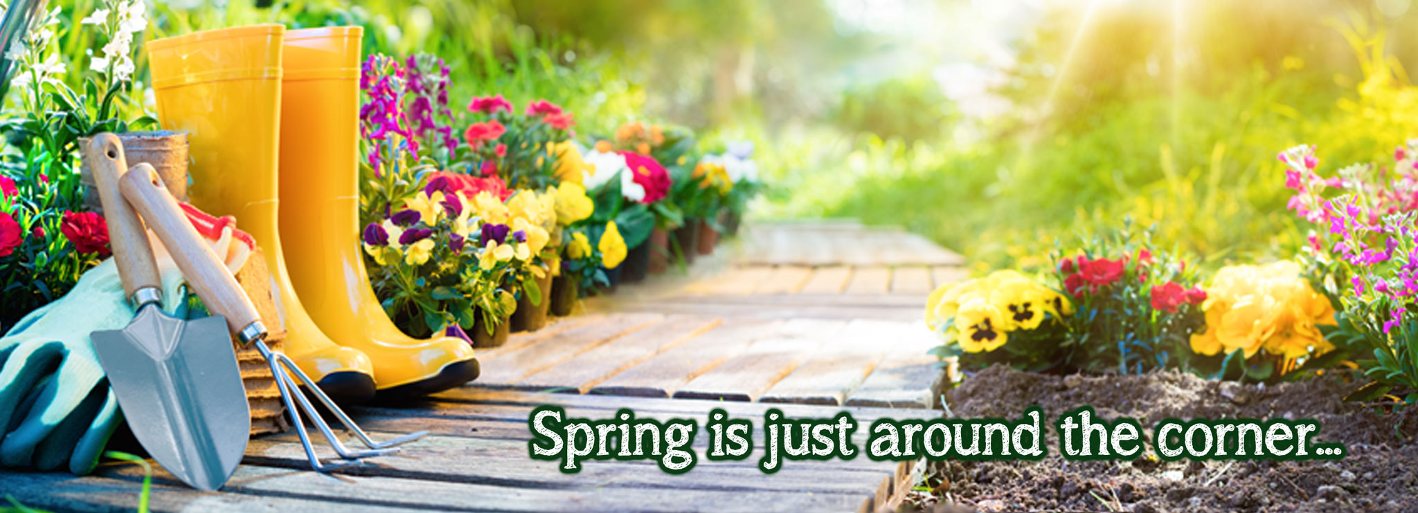 Baytree Garden Centre Banner 1