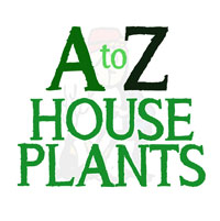 our A to Z of Houseplants